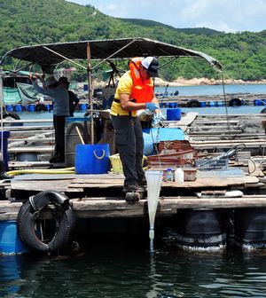 收集浮游生物样本